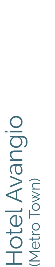 Hotel Avangio  (Metro Town)